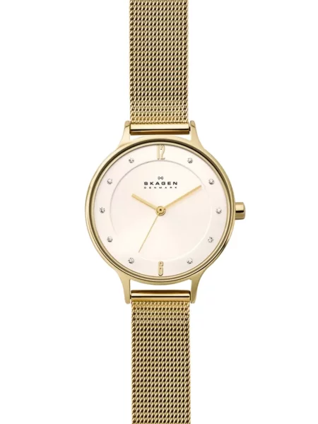 Ceas Skagen gri