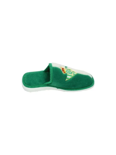 Pantofi Andinas verde