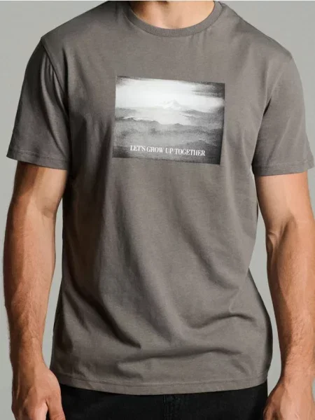 Sinsay koszulka z nadrukiem szary