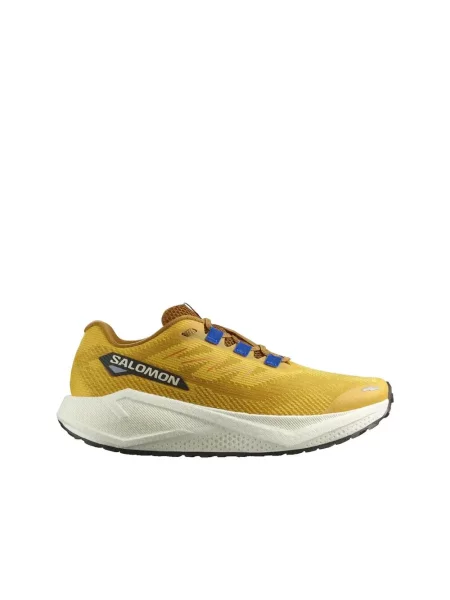 Buty do biegania Salomon Aero Blaze 3 GRVL Żółty pikantny niebieskie