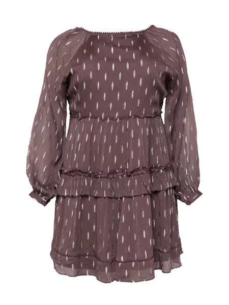 Guido Maria Kretschmer Curvy Collection Rochie Fray / argintiu maro