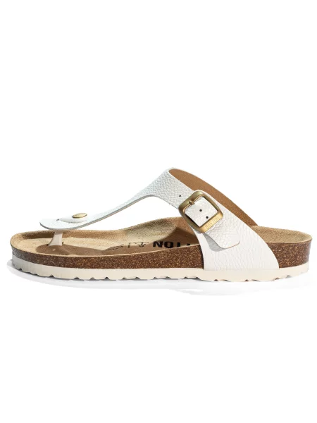 Bayton Japonke Mercure' bela