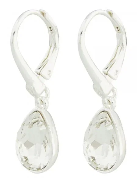 DKNY Cercei / transparent argintiu