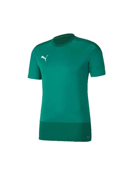 PUMA Tehnička sportska majica TeamGoal / tamno zelena