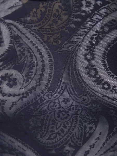 Tricou Etro cu imagine cu model paisley plasă albastru