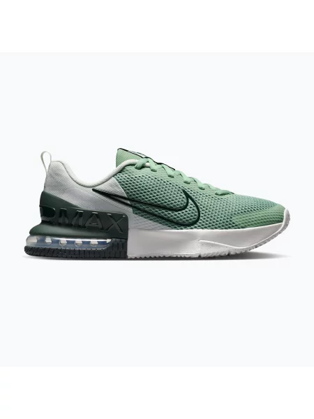 Încălțăminte de antrenament pentru bărbați Nike Air Max Alpha Trainer 6 steam/spruce aura/off white/black spruce alb