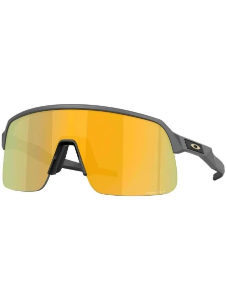 Ceas Oakley gri