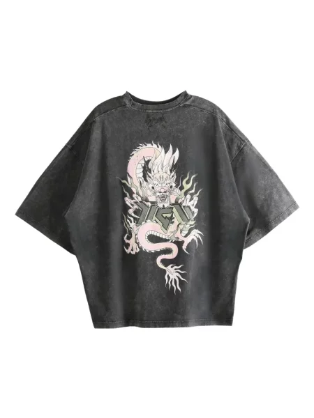 Tricou D-r-g-n cu imagine gri