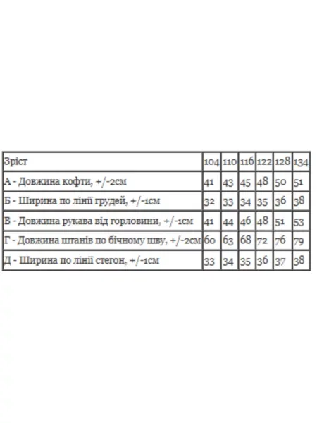 Костюмный спортивный костюм носи своє черный