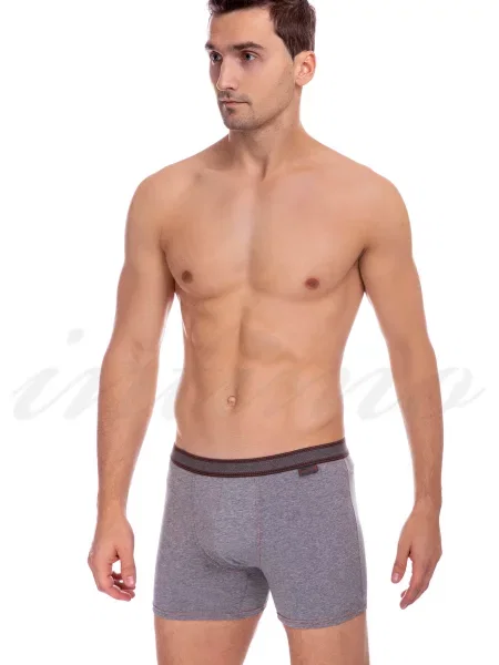 Боксеры Jolidon серые