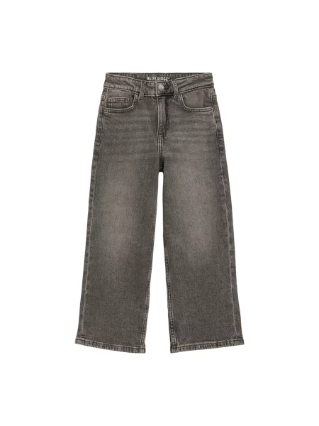 WE Fashion Jeans denim gri