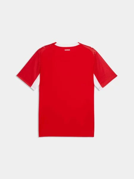 Спортивна футболка PUMA Sfv Home Jersey Replica комбінований верх червоний
