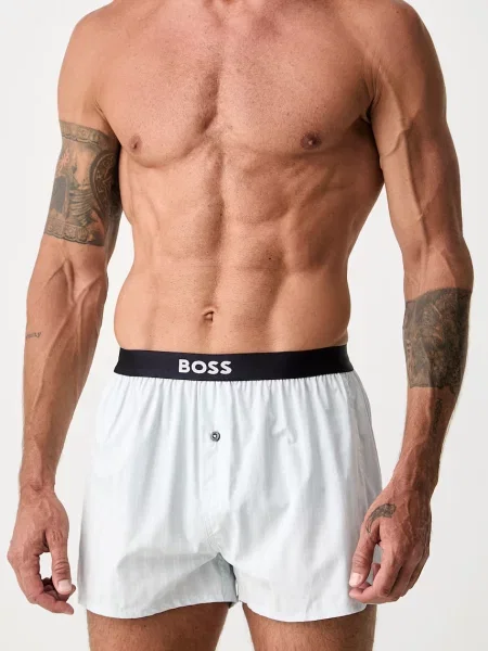 Боксеры Boss