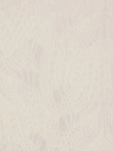 Pulover Comme Des Garçons business lung