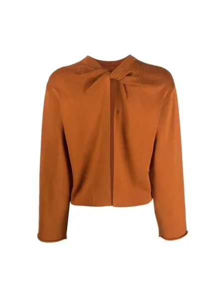 Sweter Proenza Schouler z długim rękawem brązowy