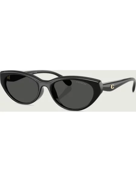 Coach Ochelari de soare INJECTED negru