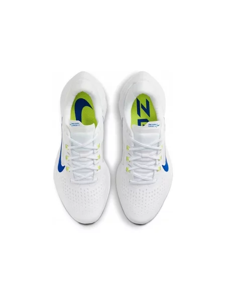 Pantofi Nike