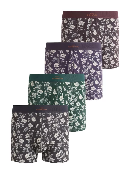 Next Boksarice mornarska / rjava / zelena / črna bela