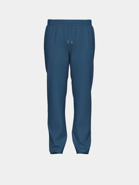 Спортивні штани Arena синій