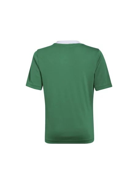 Majica Adidas zelena