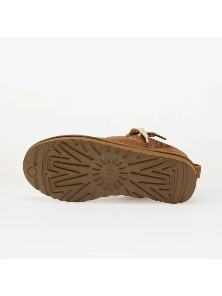 Superge Ugg rjava
