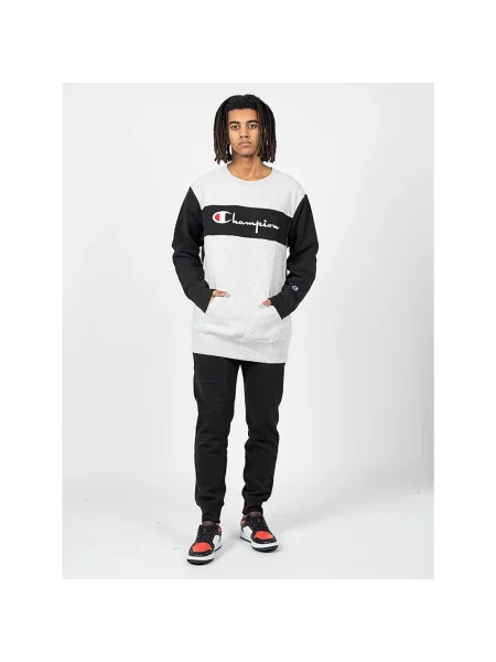 Champion Colour Block Kangaroo Pocket Reverse Weave Sweatshirt Mężczyźni Bluzy i bluzy z kapturem Champion Size: M szary