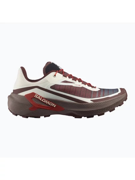 Încălțăminte de alergare pentru bărbați Salomon Genesis 2 vanilla ice/iron