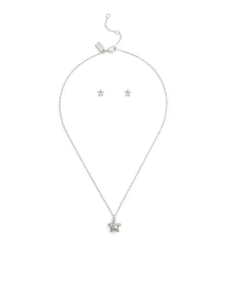 Palton Coach transparente argintiu