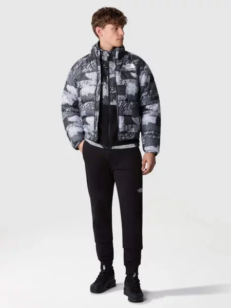 Демисезонная куртка The North Face с принтом без косточек