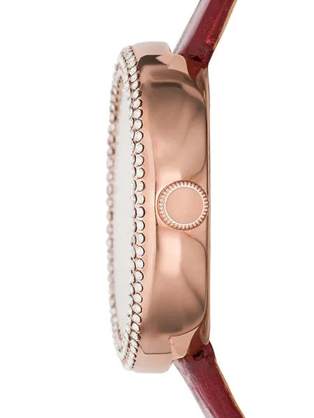 Emporio Armani Ceas roșu