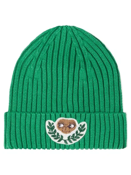 Gyerek sapka Mini Rodini zöld