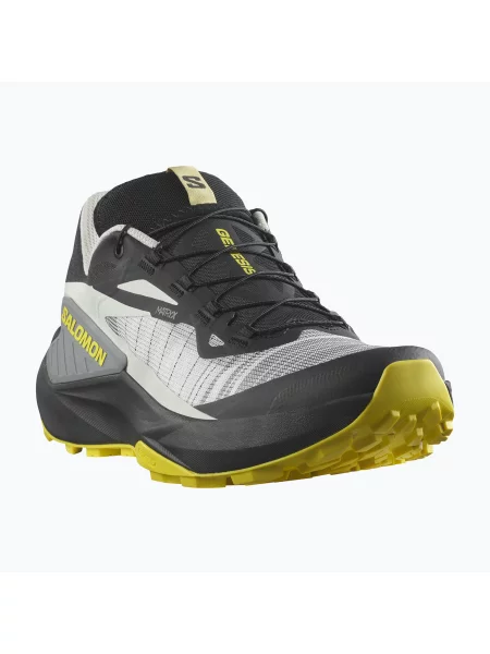 Кросівки для бігу Salomon Genesis black/metal/incaberry чорні