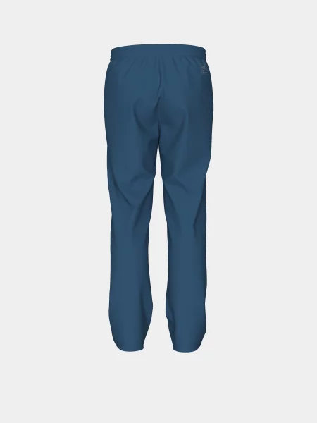 Спортивні штани Arena синій