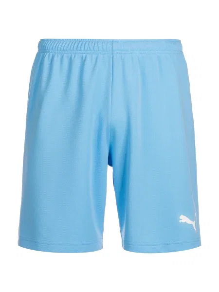 PUMA Športne hlače TeamRise svetlo modra