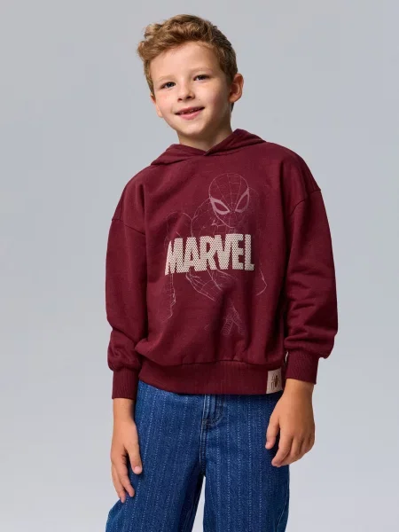 Sinsay Mikina s potiskem Spider-Man kaštanová