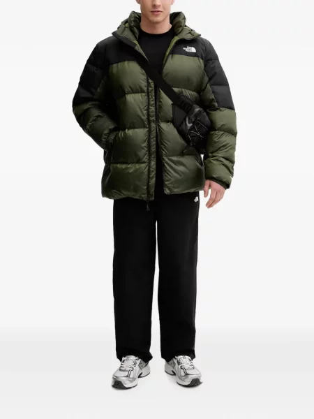 Geacă cu puf The North Face cu glugă verde