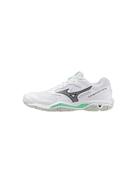 Pantofi Mizuno