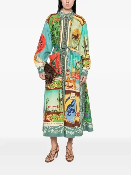 Rochie maxi Alemais cu imagine verde