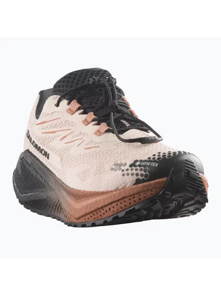 Încălțăminte de alergare pentru femei Salomon Aero Blaze 4 GRVL GTX vanilla ice/black negru