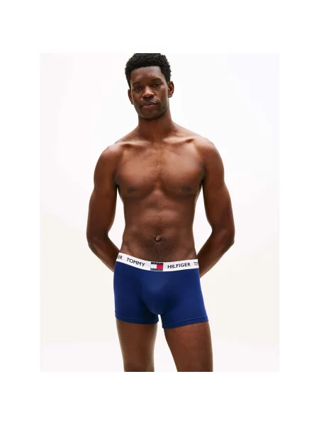 Gaćice Tommy Hilfiger
