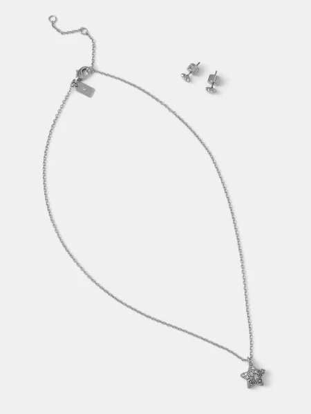 Palton Coach transparente argintiu