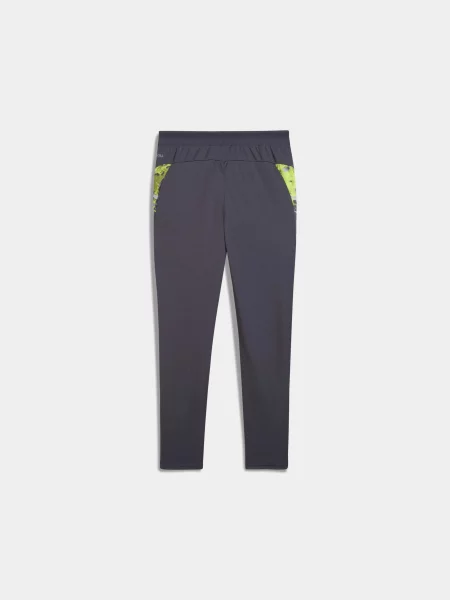 Дитячі Спортивні штани PUMA Individualcup Trg Pants Jr комбінований верх сірий