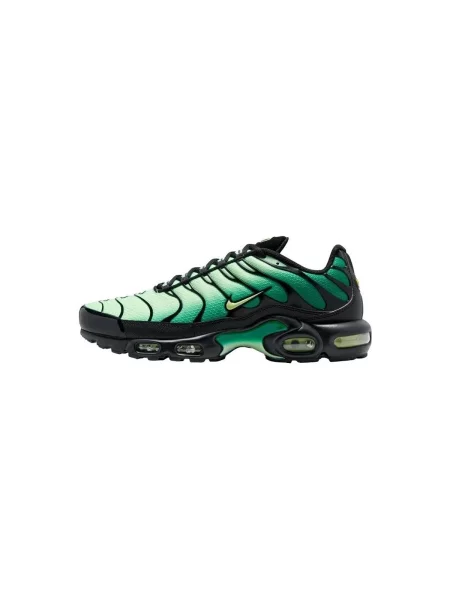 Pantofi Nike negru