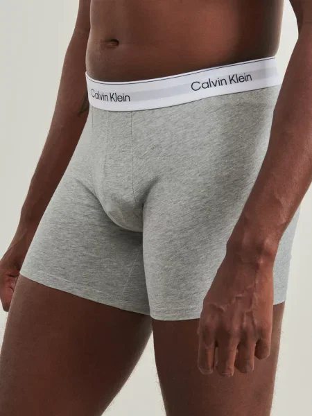Gaćice Calvin Klein Jeans