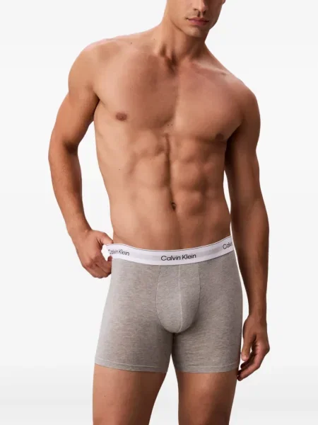 Boxeri Calvin Klein Underwear cu autograf gri