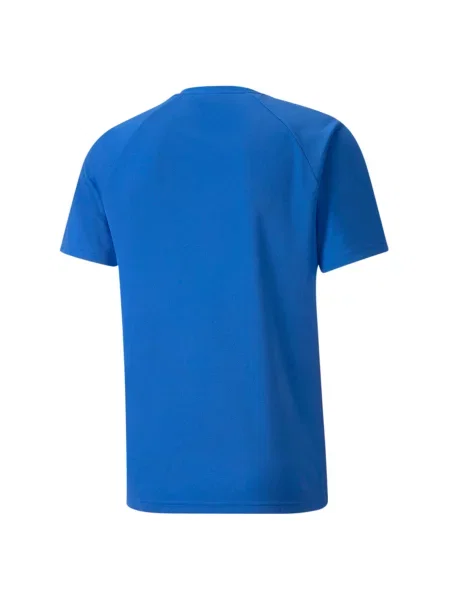 Koszulka Puma Team Liga Striped czarna