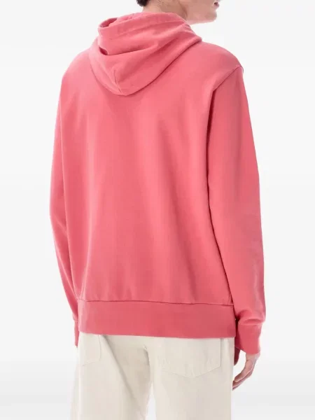 Hanorac cu glugă Polo Ralph Lauren cu broderie roz