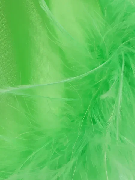 Bluză Verguenza cu pene verde