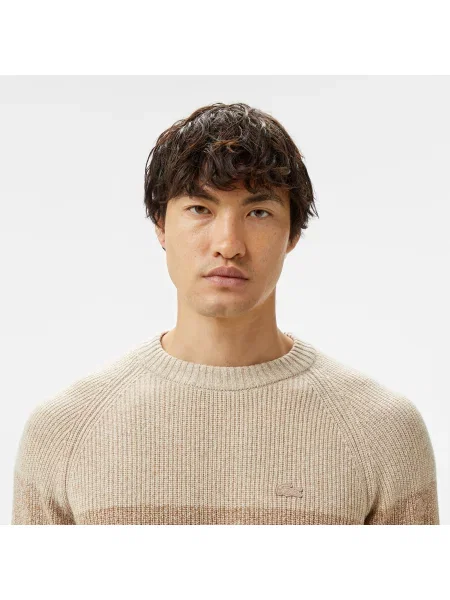 Lacoste Relaxed Fit Sweter Z Okrągłym Dekoltem I Kolorowymi Blokami beżowy
