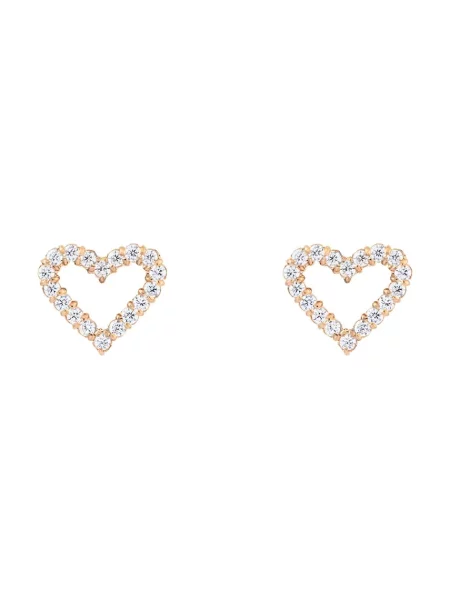 Сережки Daniel Wellington